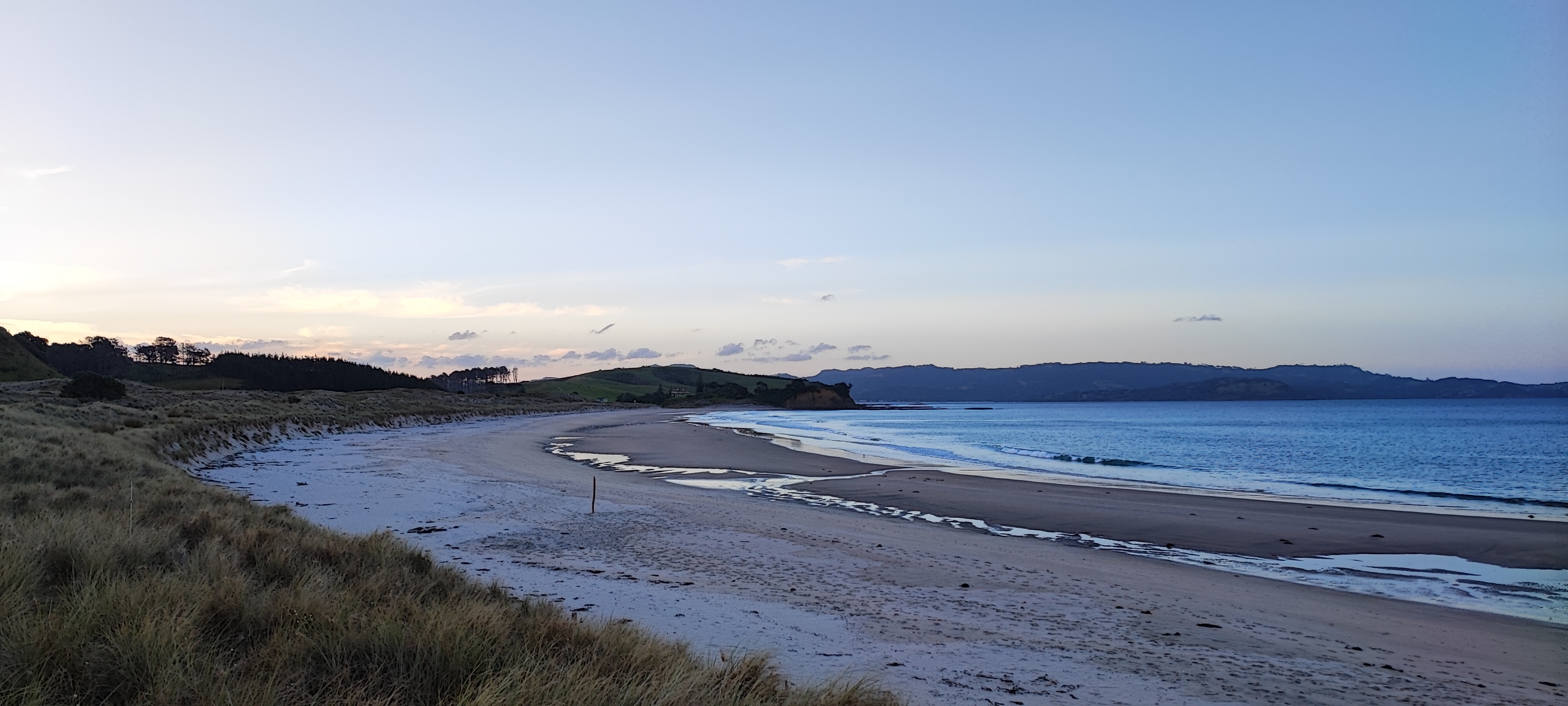 A moody dusk beach with weathered driftwood and grass; purple-blue tones in sky and sand with a rocky headland silhouette.